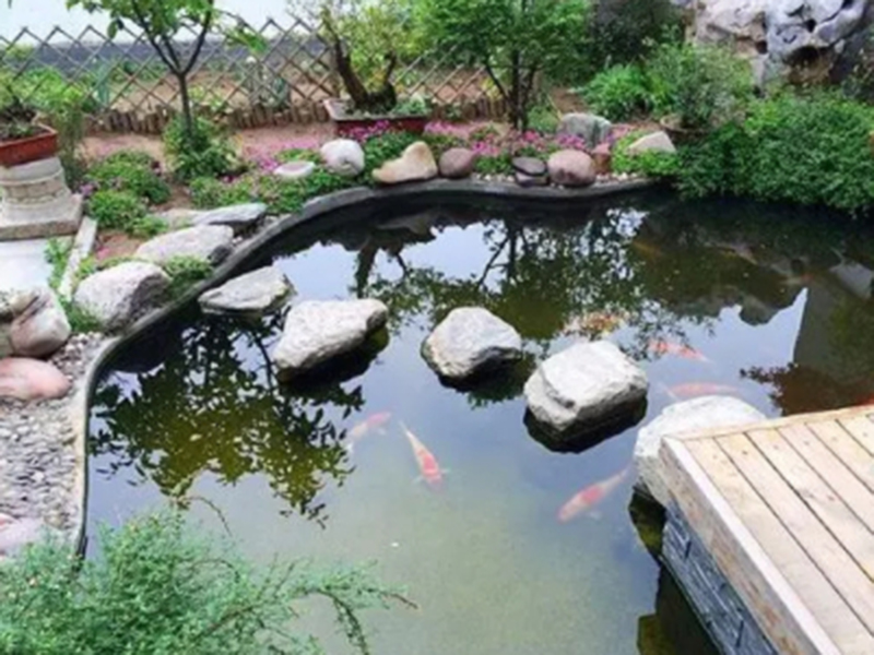 魚池與景觀處理