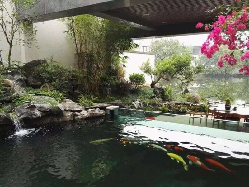 魚池與景觀處理