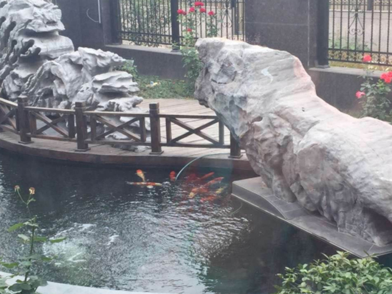 魚池與景觀處理