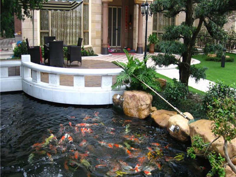 魚池與景觀處理
