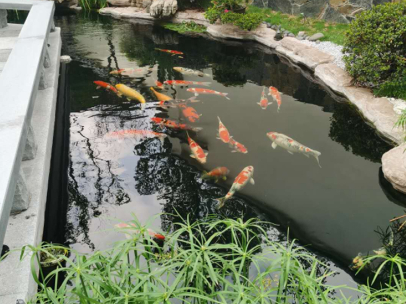 魚池與景觀處理